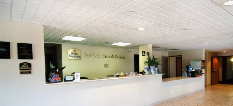 品质酒店套房圣安东尼奥布鲁克斯市基地(Quality Suites San Antonio Brooks City Base)图片