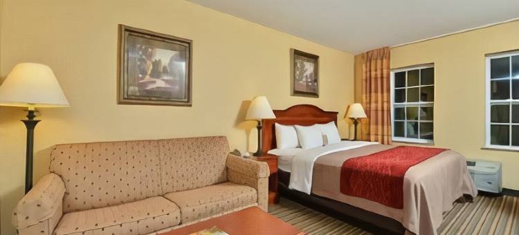 威尔顿舒适套房酒店(Comfort Inn & Suites)图片