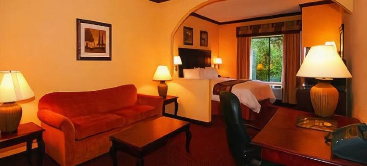 拉夫金舒适套房酒店(Comfort Suites Lufkin)图片