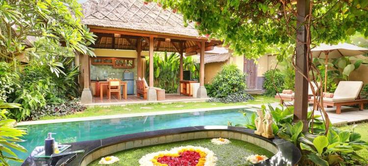 巴厘岛乌布尼尤水疗度假村(Ubud Nyuh Bali Resort & Spa)图片