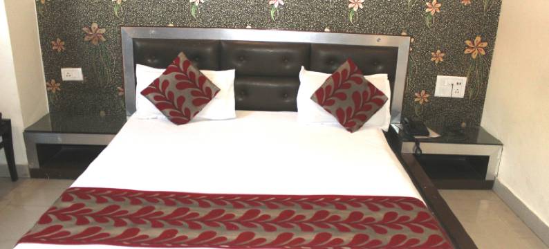 帕克赛德大酒店(Hotel Grand Navjyoti)图片