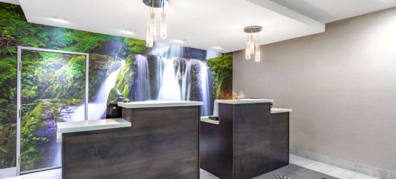 霍普金斯维尔拉昆塔温德姆套房酒店(La Quinta Inn & Suites by Wyndham Hopkinsville)图片