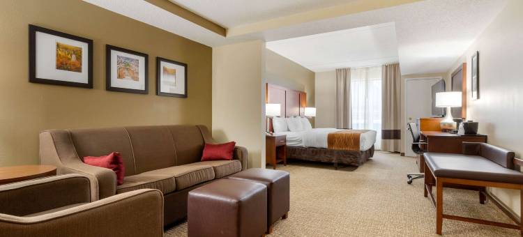 舒适套房酒店(Comfort Inn & Suites)图片