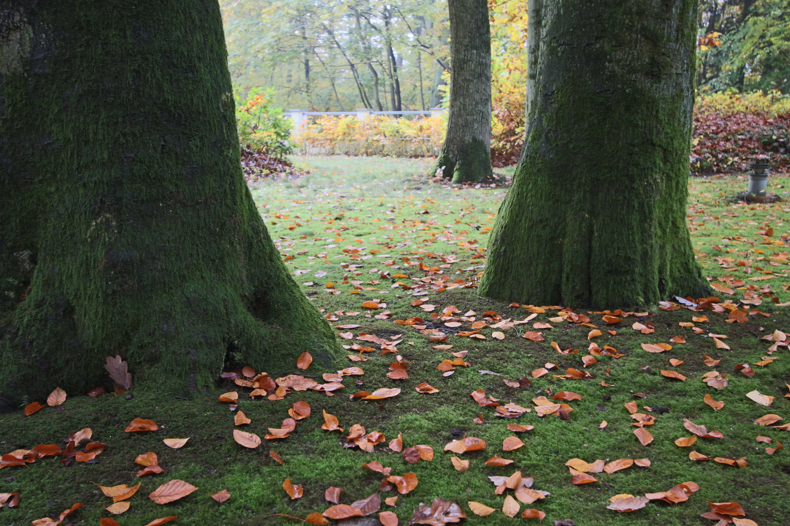 Hardtwald HotelOver view