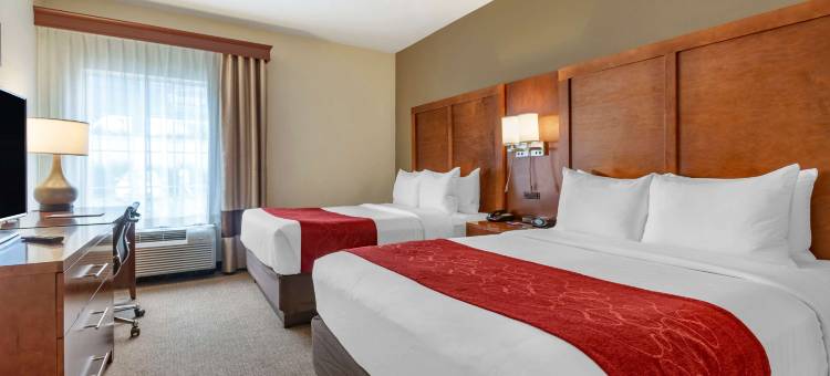 纽瓦克哈里森舒适套房酒店(Comfort Suites Newark - Harrison)图片