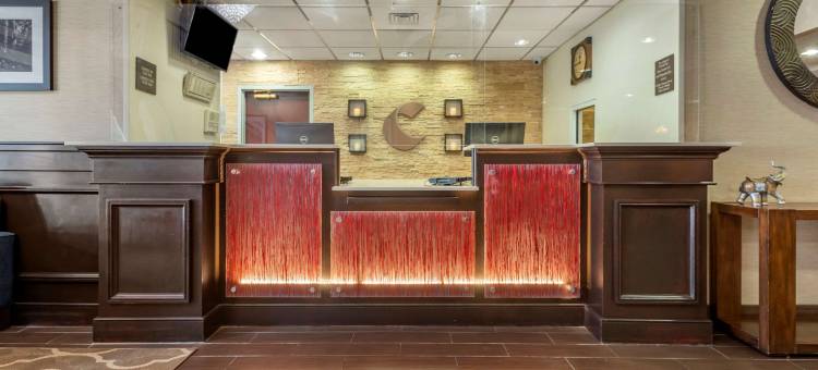 纽瓦克哈里森舒适套房酒店(Comfort Suites Newark - Harrison)图片