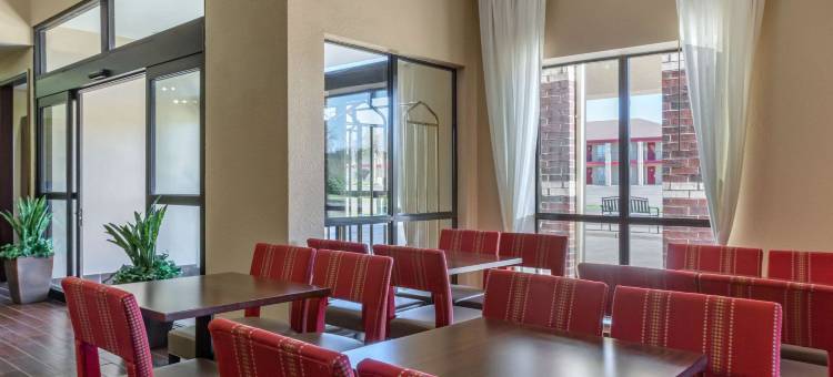 普莱恩维尤舒适套房酒店(Comfort Suites Plainview)图片