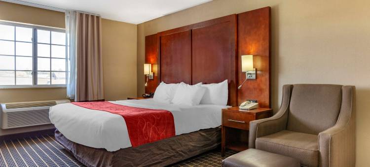 舒适套房酒店-德拉文日内瓦湖区(Comfort Suites Delavan - Lake Geneva Area)图片