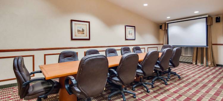 葡萄藤贝斯特韦斯特优质酒店(Best Western Plus Grapevine Inn)图片