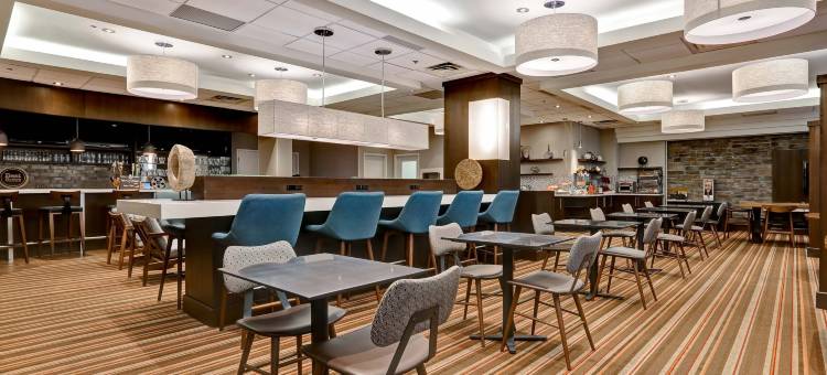 多伦多密西沙加福朋喜来登酒店(Four Points by Sheraton Toronto Mississauga)图片