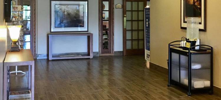 舒适套房酒店(Comfort Inn & Suites)图片