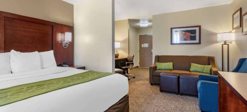 舒适套房酒店-弗恩利(Comfort Suites Fernley)图片