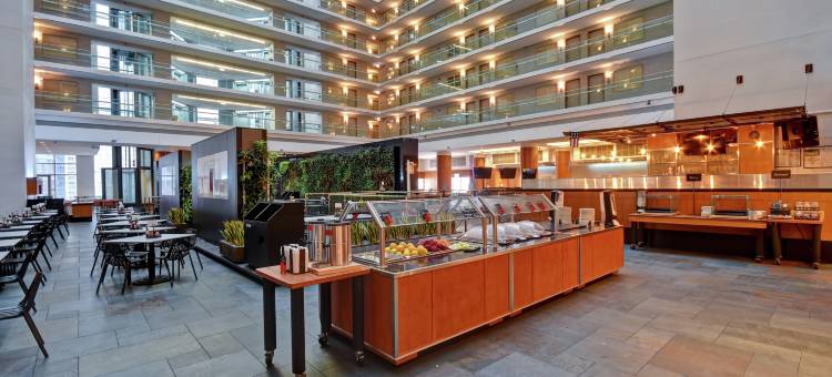 芝加哥市中心华丽一英里希尔顿安泊酒店(Embassy Suites by Hilton Chicago Downtown Magnificent Mile)图片