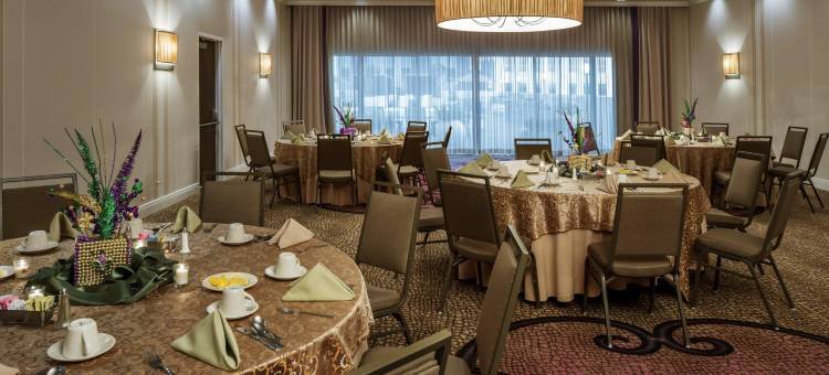 新奥尔良市区超圆屋顶体育场假日酒店(Holiday Inn New Orleans-Downtown Superdome)图片