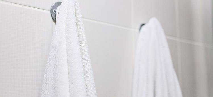 斯汤顿故乡旅馆(Hometown Inn Staunton)图片