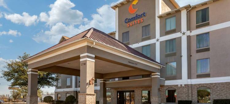 韦科舒适套房酒店-近大学区(Comfort Suites Waco Near University Area)图片