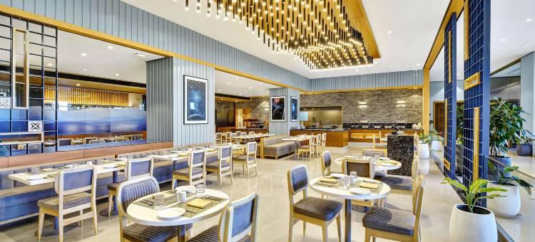 纳特德瓦拉丽笙酒店(Radisson Hotel Nathdwara)图片