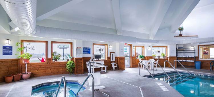 贝蒙特 151 路凯艺套房酒店(Quality Inn & Suites Belmont Route 151)图片