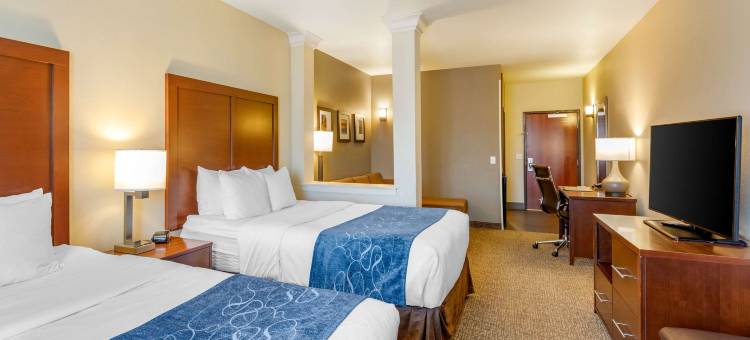 舒适套房酒店-近丹佛市区(Comfort Suites Near Denver Downtown)图片