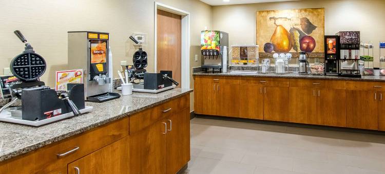 舒适套房酒店(Comfort Suites)图片