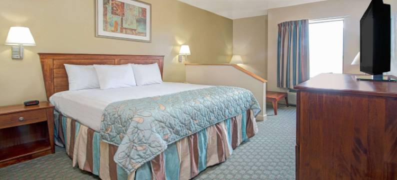 圣路易斯市中心戴斯酒店(Days Inn by Wyndham Downtown St. Louis)图片