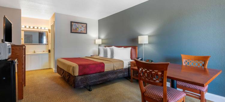 机场-坦帕RJ体育馆伊克诺旅馆(Econo Lodge Airport - RJ Stadium)图片