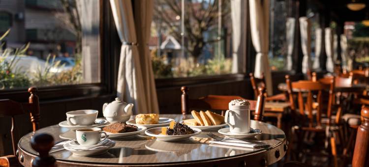 塞拉苏尔酒店(Serrazul Hotel)图片