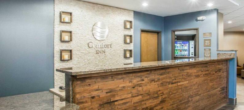 哈蒙德I-94舒适酒店(Comfort Inn Hammond I-94)图片