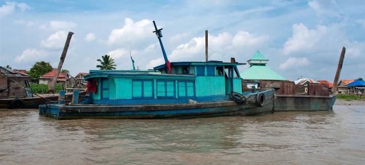 Dparagon 德维科拉(Dparagon Dwikora)图片