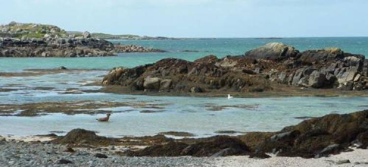 Errismore House图片