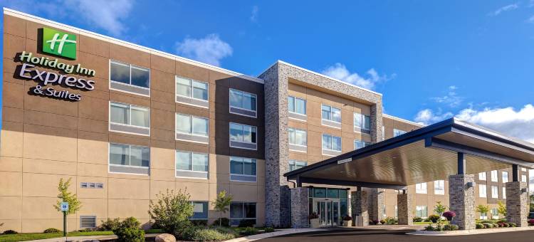 底特律迪尔伯恩智选假日套房酒店(Holiday Inn Express & Suites Detroit - Dearborn)图片