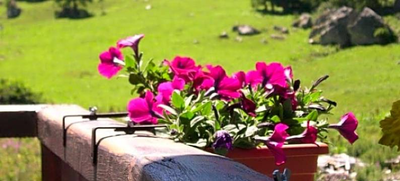 多姆酒店(Le Dôme)图片