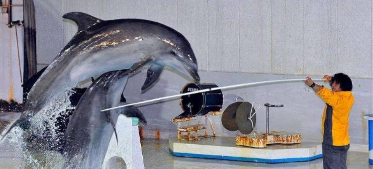 Nord 小樽酒店(Hotel Nord Otaru)图片