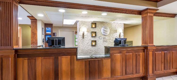 纽波特纽斯-汉普顿I-64舒适酒店(Comfort Inn Newport News - Hampton I-64)图片