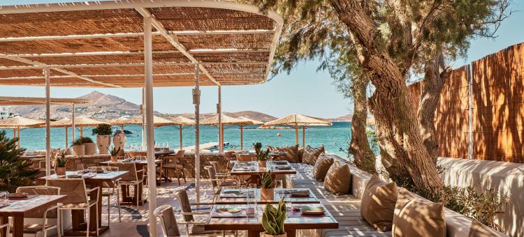 科斯梅豪华精选度假酒店，帕罗斯(Cosme, a Luxury Collection Resort, Paros)图片