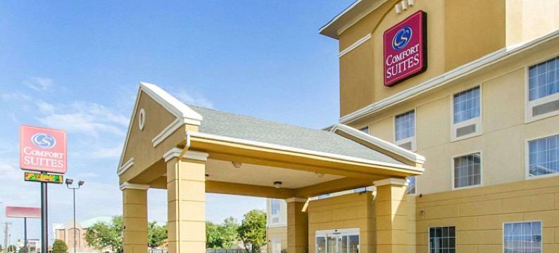 阿比林舒适套房酒店(Comfort Suites)图片