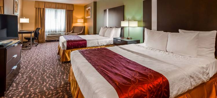 伍德兰贝斯特韦斯特优质酒店(Best Western Plus the Woodlands)图片