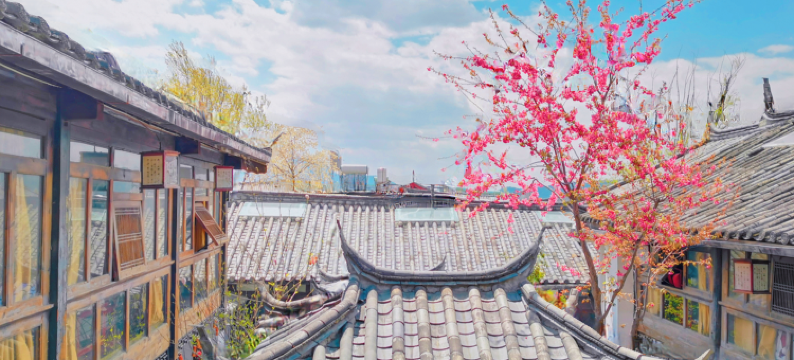 南山草堂客栈(丽江束河书香门第院)图片