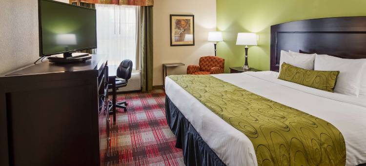 Best Western Plus Addison/Dallas Hotel图片