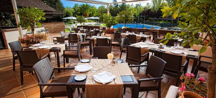 卡塞雷斯森特纳里欧5号巴西洛酒店(Barceló Cáceres V Centenario)图片