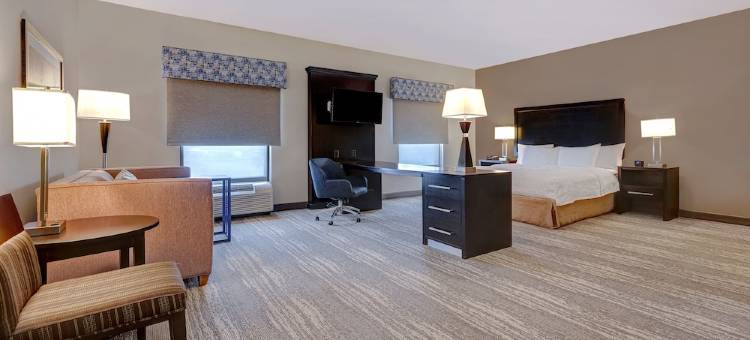 坦帕西北/奥尔兹马希尔顿欢朋套房酒店(Hampton Inn & Suites Tampa Northwest/Oldsmar)图片