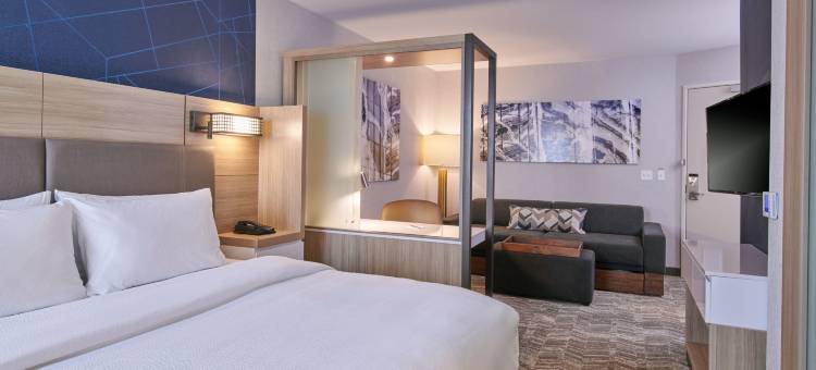 SpringHill Suites Detroit Dearborn图片