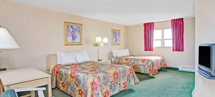 阿灵顿/华盛顿Dc戴斯酒店(Days Inn by Wyndham Arlington/Washington DC)图片