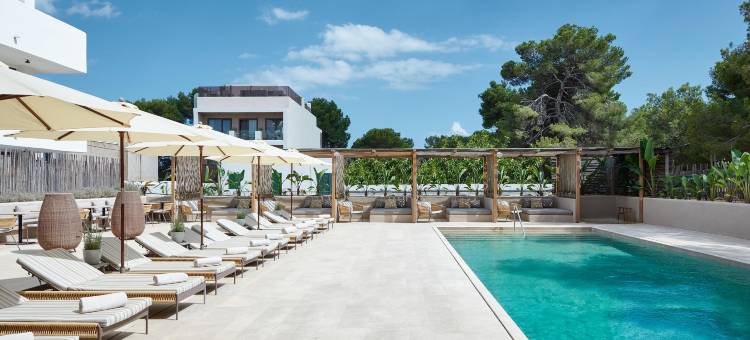 巴利福特酒店马洛卡(Barefoot Hotel Mallorca)图片