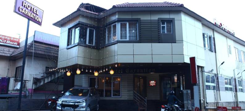 康乃馨酒店(Hotel Carnation)图片