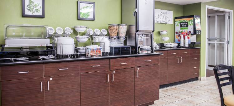 耶米特斯堡舒眠套房酒店(Sleep Inn & Suites)图片