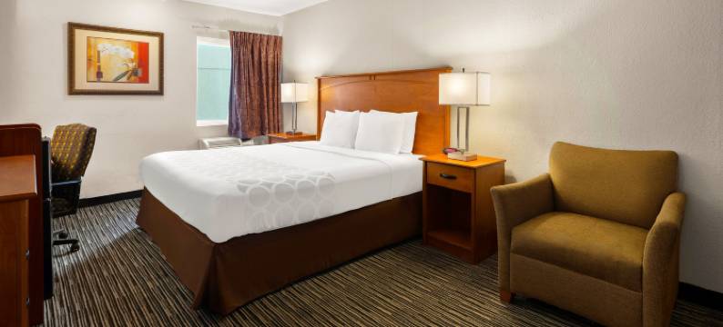 底特律机场马格努森酒店(Magnuson Hotel Detroit Airport)图片