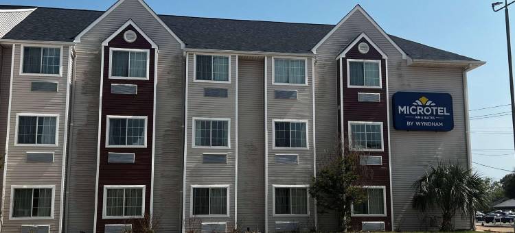 休斯顿麦客达套房酒店(Microtel Inn & Suites by Wyndham Houston)图片