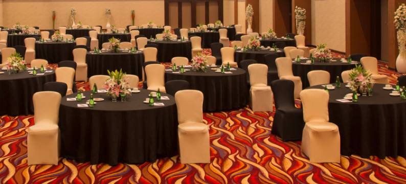 德尔汀酒店(The Deltin)图片