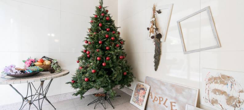 苹果商务酒店(Business Hotel Apple)图片